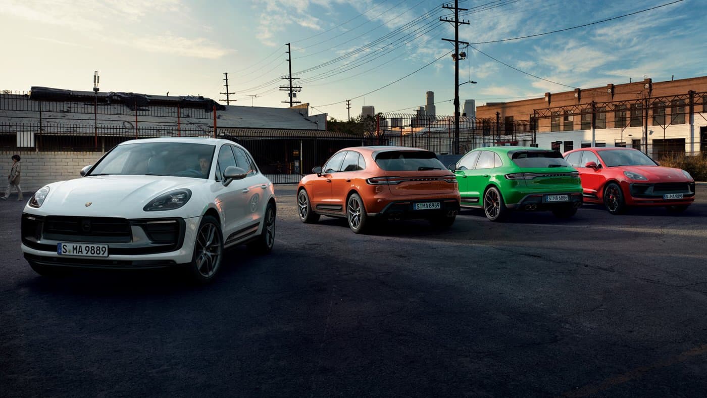 Macan 1